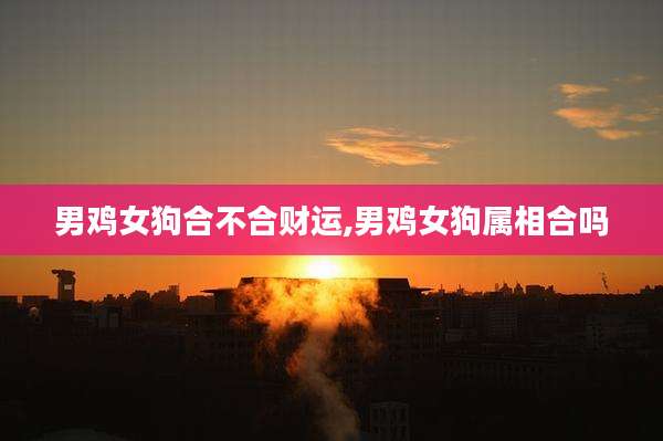 男鸡女狗合不合财运,男鸡女狗属相合吗