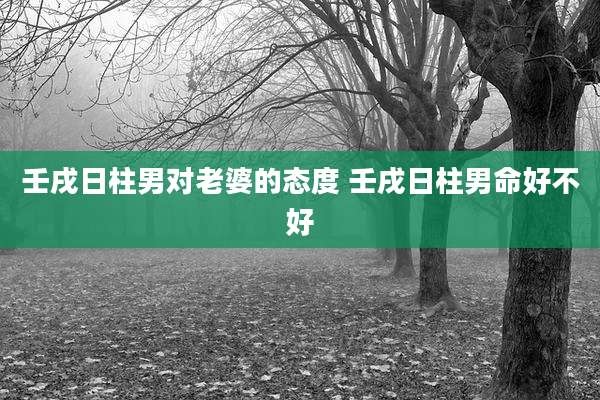 壬戌日柱男对老婆的态度 壬戌日柱男命好不好