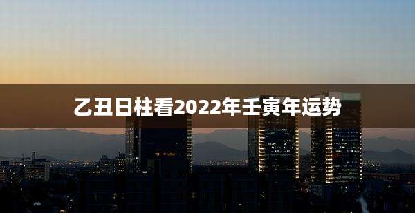乙丑日柱看2022年壬寅年运势