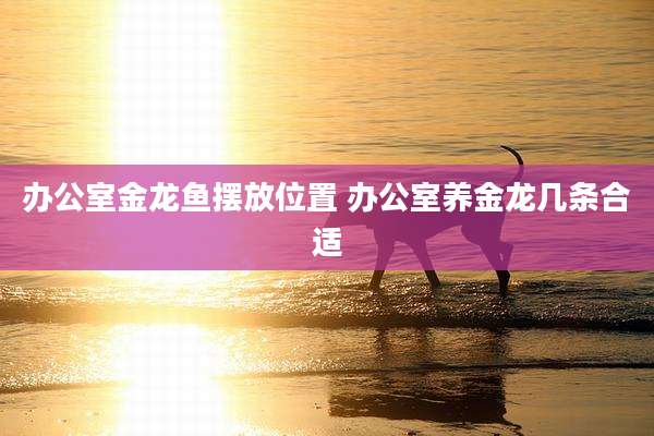 办公室金龙鱼摆放位置 办公室养金龙几条合适