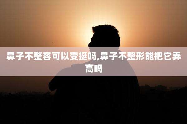鼻子不整容可以变挺吗,鼻子不整形能把它弄高吗