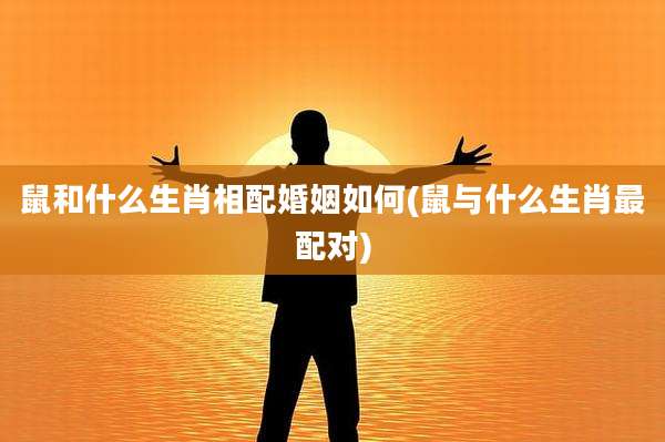 鼠和什么生肖相配婚姻如何(鼠与什么生肖最配对)
