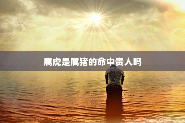 属虎是属猪的命中贵人吗