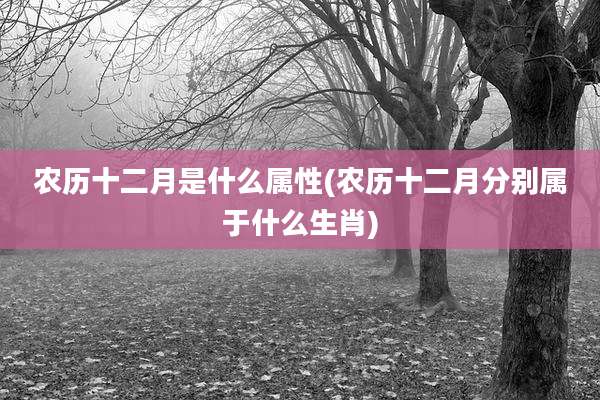 农历十二月是什么属性(农历十二月分别属于什么生肖)