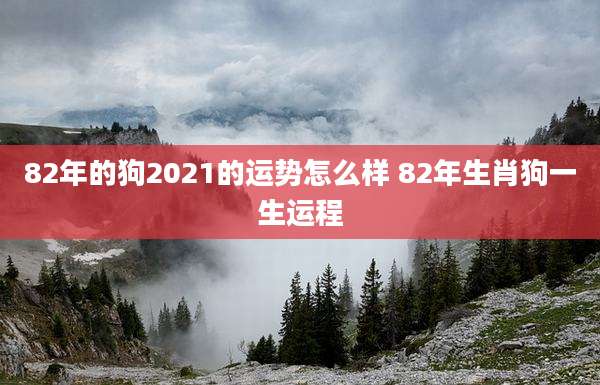 82年的狗2021的运势怎么样 82年生肖狗一生运程