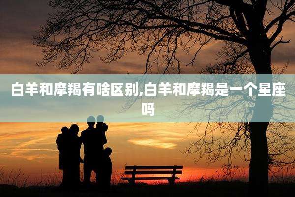 白羊和摩羯有啥区别,白羊和摩羯是一个星座吗
