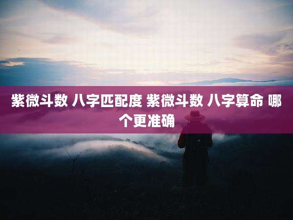 紫微斗数 八字匹配度 紫微斗数 八字算命 哪个更准确