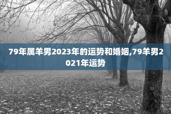 79年属羊男2023年的运势和婚姻,79羊男2021年运势