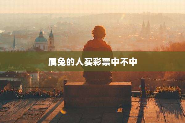 属兔的人买彩票中不中