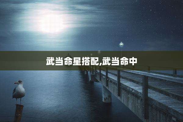武当命星搭配,武当命中
