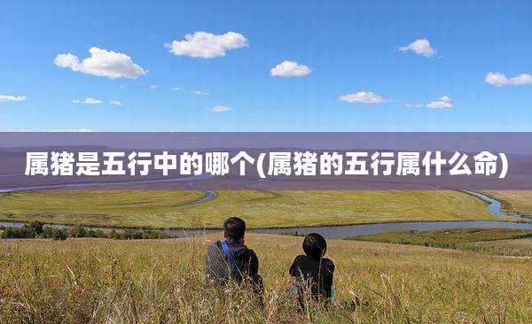 属猪是五行中的哪个(属猪的五行属什么命)