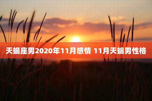 天蝎座男2020年11月感情 11月天蝎男性格