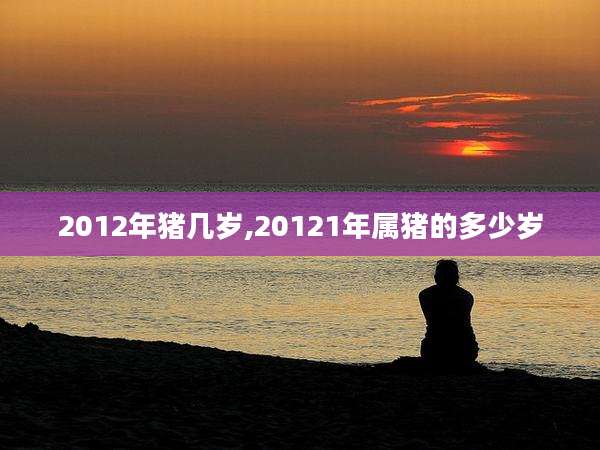 2012年猪几岁,20121年属猪的多少岁
