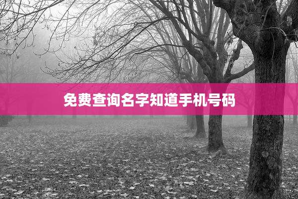 免费查询名字知道手机号码