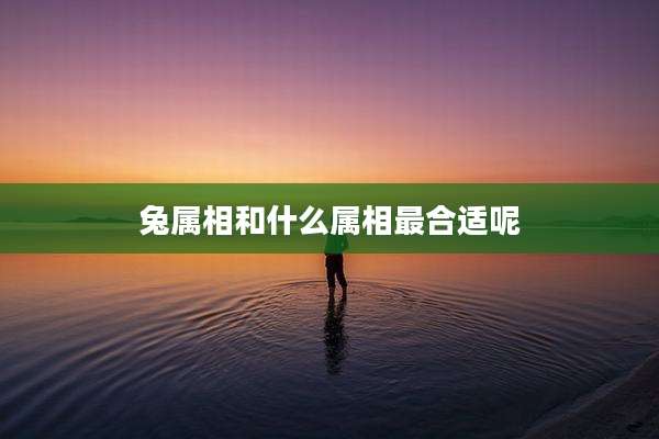 兔属相和什么属相最合适呢