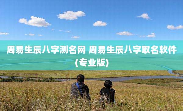 周易生辰八字测名网 周易生辰八字取名软件(专业版)