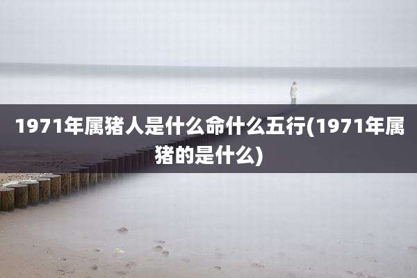 1971年属猪人是什么命什么五行(1971年属猪的是什么)