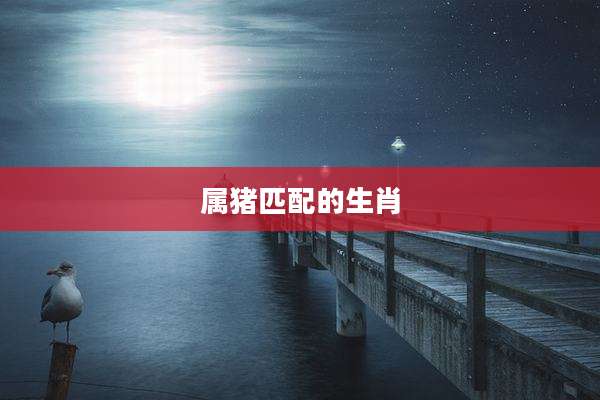 属猪匹配的生肖