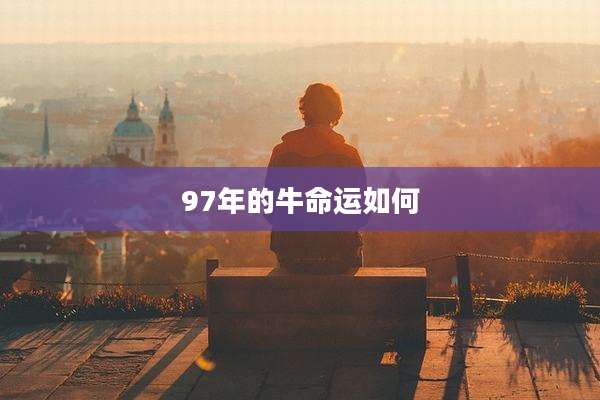 97年的牛命运如何