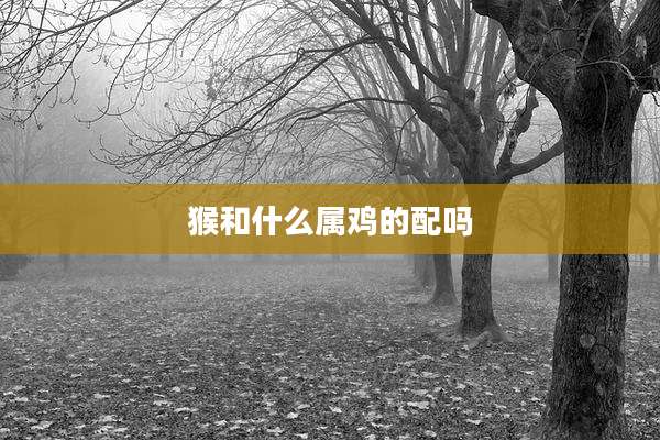 猴和什么属鸡的配吗