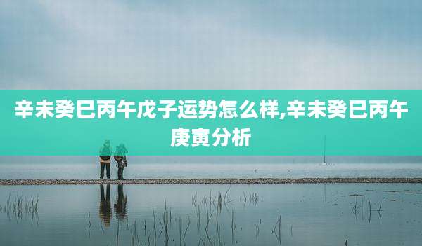 辛未癸巳丙午戊子运势怎么样,辛未癸巳丙午庚寅分析