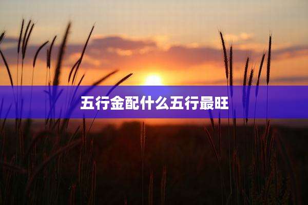 五行金配什么五行最旺