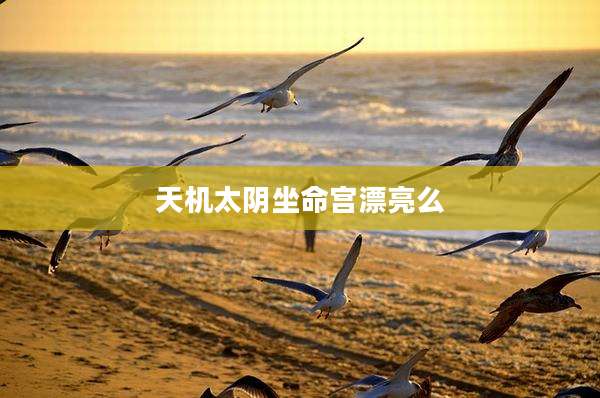 天机太阴坐命宫漂亮么