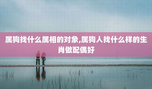 属狗找什么属相的对象,属狗人找什么样的生肖做配偶好