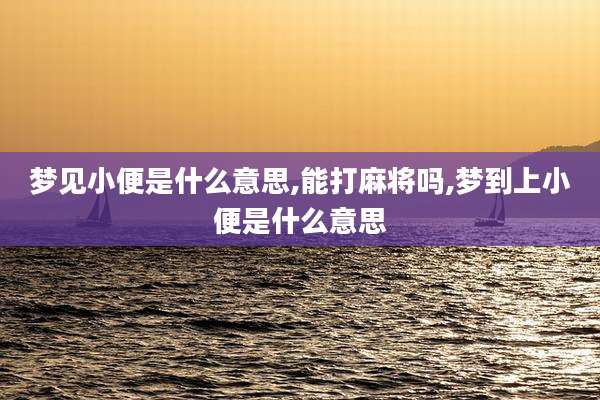 梦见小便是什么意思,能打麻将吗,梦到上小便是什么意思