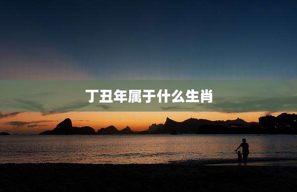 丁丑年属于什么生肖
