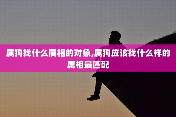 属狗找什么属相的对象,属狗应该找什么样的属相最匹配