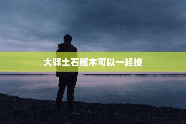 大驿土石榴木可以一起接