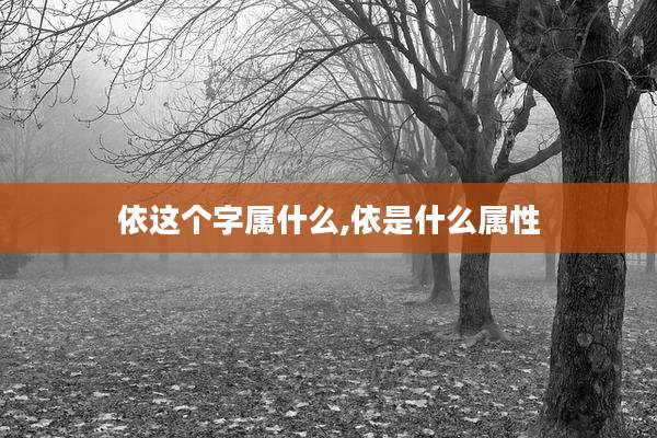 依这个字属什么,依是什么属性