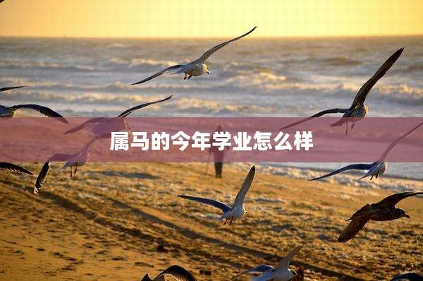 属马的今年学业怎么样