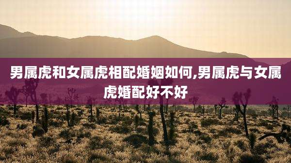 男属虎和女属虎相配婚姻如何,男属虎与女属虎婚配好不好