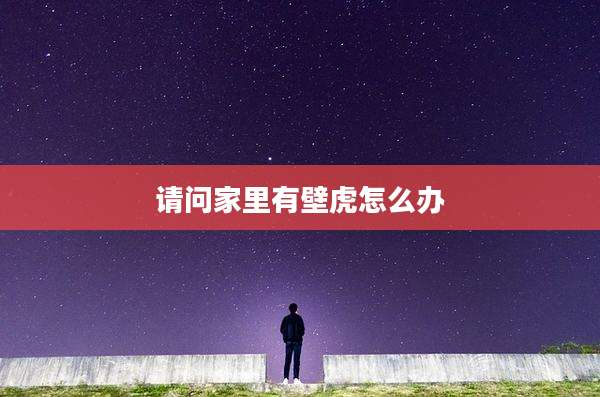 请问家里有壁虎怎么办