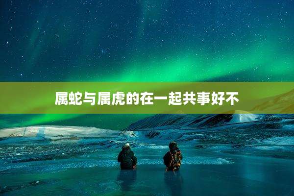 属蛇与属虎的在一起共事好不