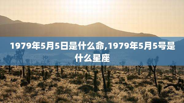 1979年5月5日是什么命,1979年5月5号是什么星座