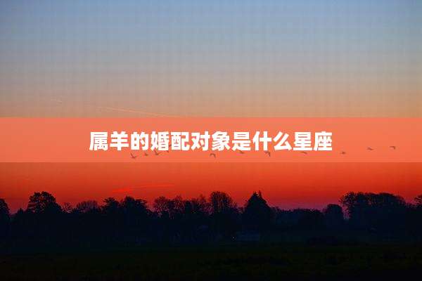 属羊的婚配对象是什么星座