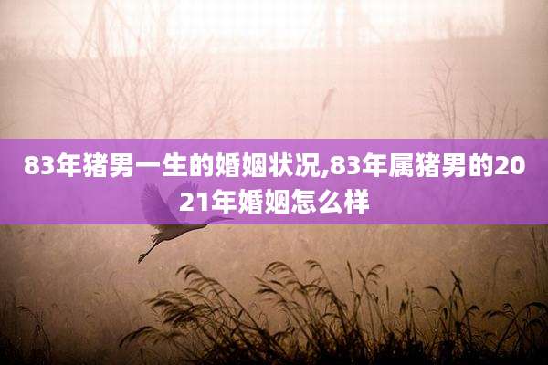 83年猪男一生的婚姻状况,83年属猪男的2021年婚姻怎么样