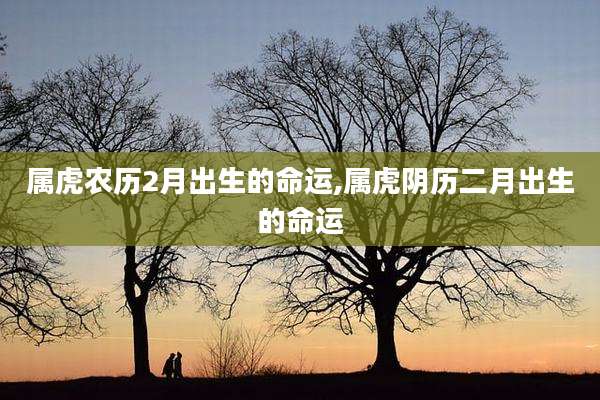 属虎农历2月出生的命运,属虎阴历二月出生的命运