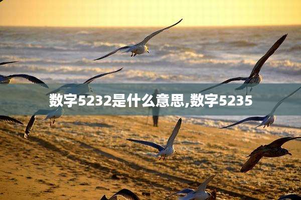 数字5232是什么意思,数字5235
