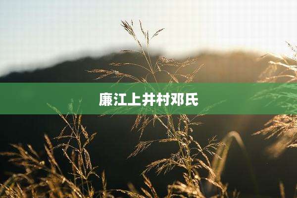廉江上井村邓氏