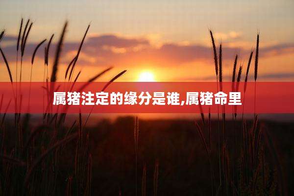 属猪注定的缘分是谁,属猪命里