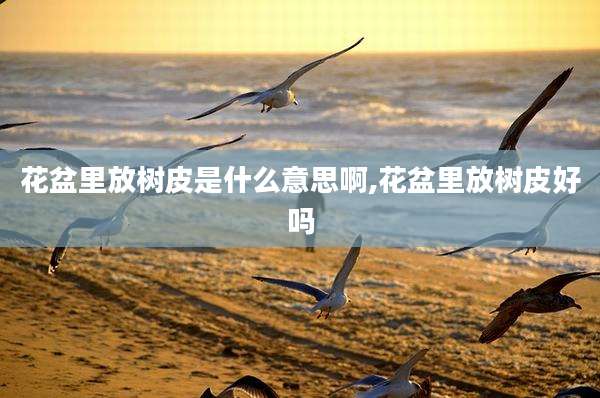 花盆里放树皮是什么意思啊,花盆里放树皮好吗
