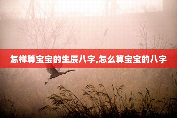 怎样算宝宝的生辰八字,怎么算宝宝的八字