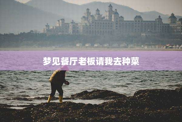 梦见餐厅老板请我去种菜