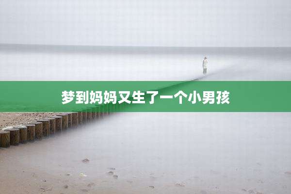 梦到妈妈又生了一个小男孩