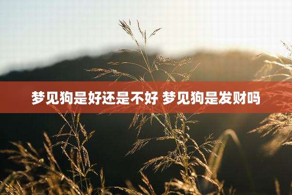 梦见狗是好还是不好 梦见狗是发财吗