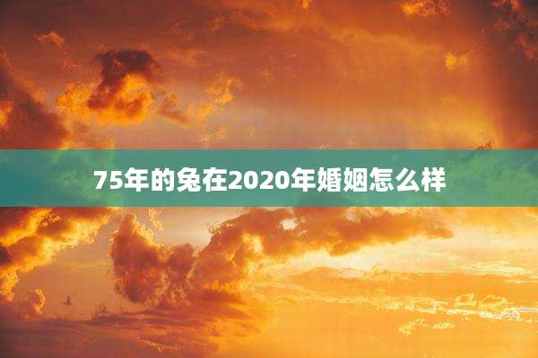 75年的兔在2020年婚姻怎么样